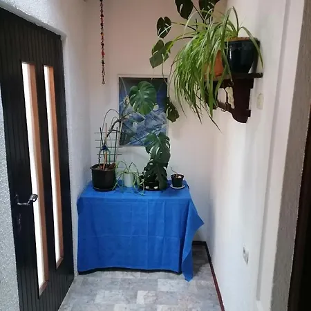 Zepina Apartment *
